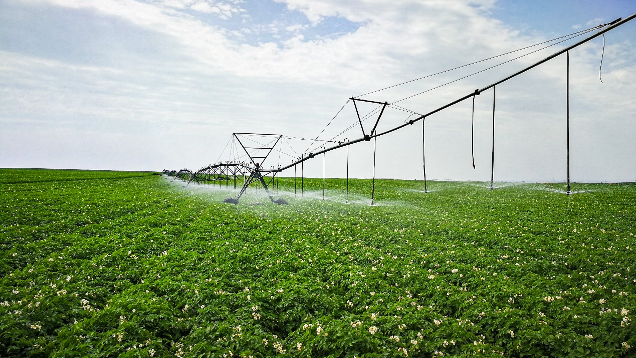 万利·(中国区)官方网站入口